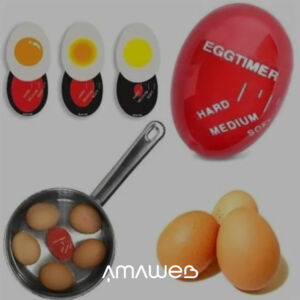 Timer Egg