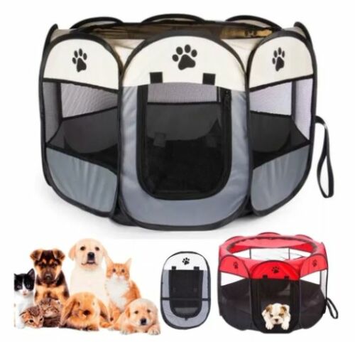 Casinha PET Dobrável com tela
